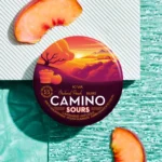 camino sours peach orchard