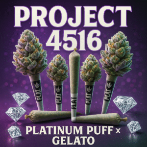 Cafe Zaza - Project 4516 (Platinum Puff X Gelato) 1g preroll