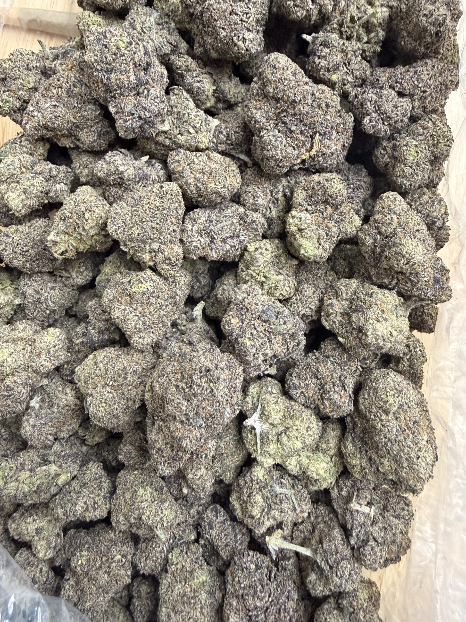 Cafe ZaZa- TOAD VENOM 33% THC hybrid - Image 2