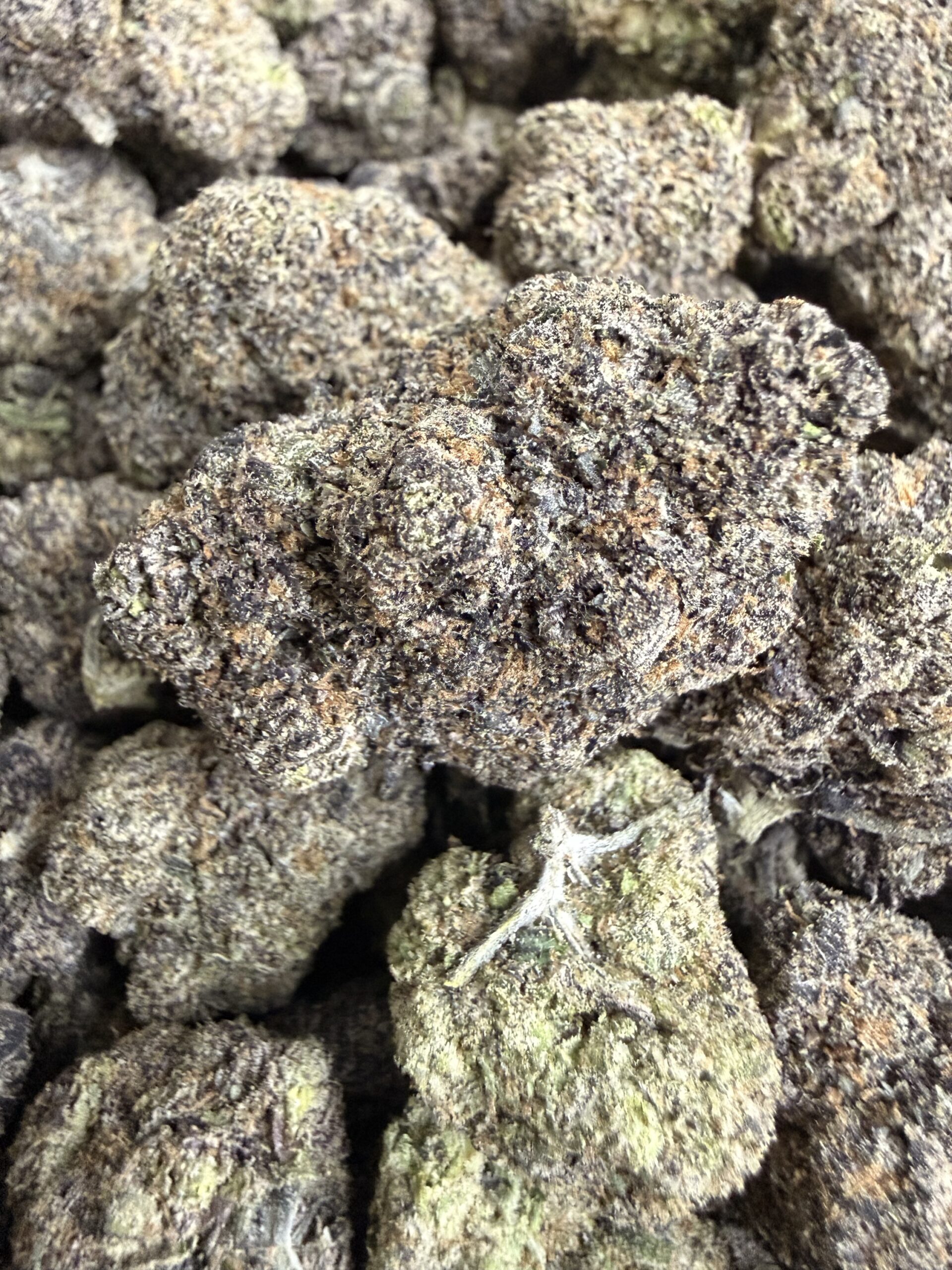 Cafe ZaZa- TOAD VENOM 33% THC hybrid - Image 3