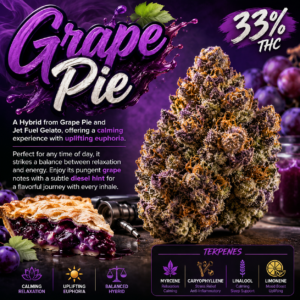 Cafe ZaZa- Grape Pie 33% THC hybrid (daytime)