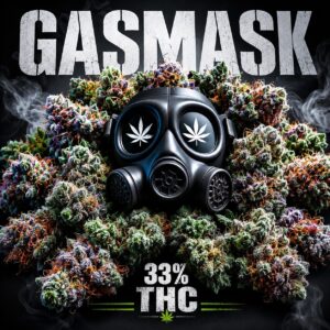 Cafe ZaZa- GAS MASK indoor 33% THC Hybrid Indica