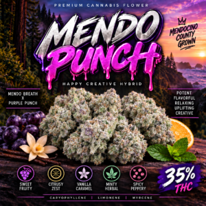 Cafe ZaZa- Mendo Punch indoor 35% THC Happy Creative Hybrid